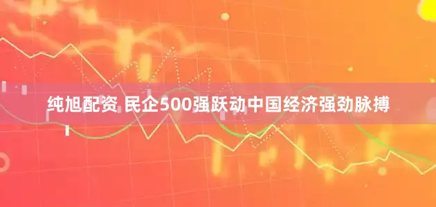 纯旭配资 民企500强跃动中国经济强劲脉搏