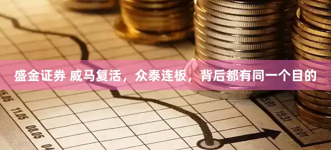 盛金证券 威马复活，众泰连板，背后都有同一个目的