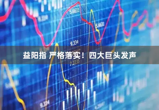 益阳指 严格落实！四大巨头发声